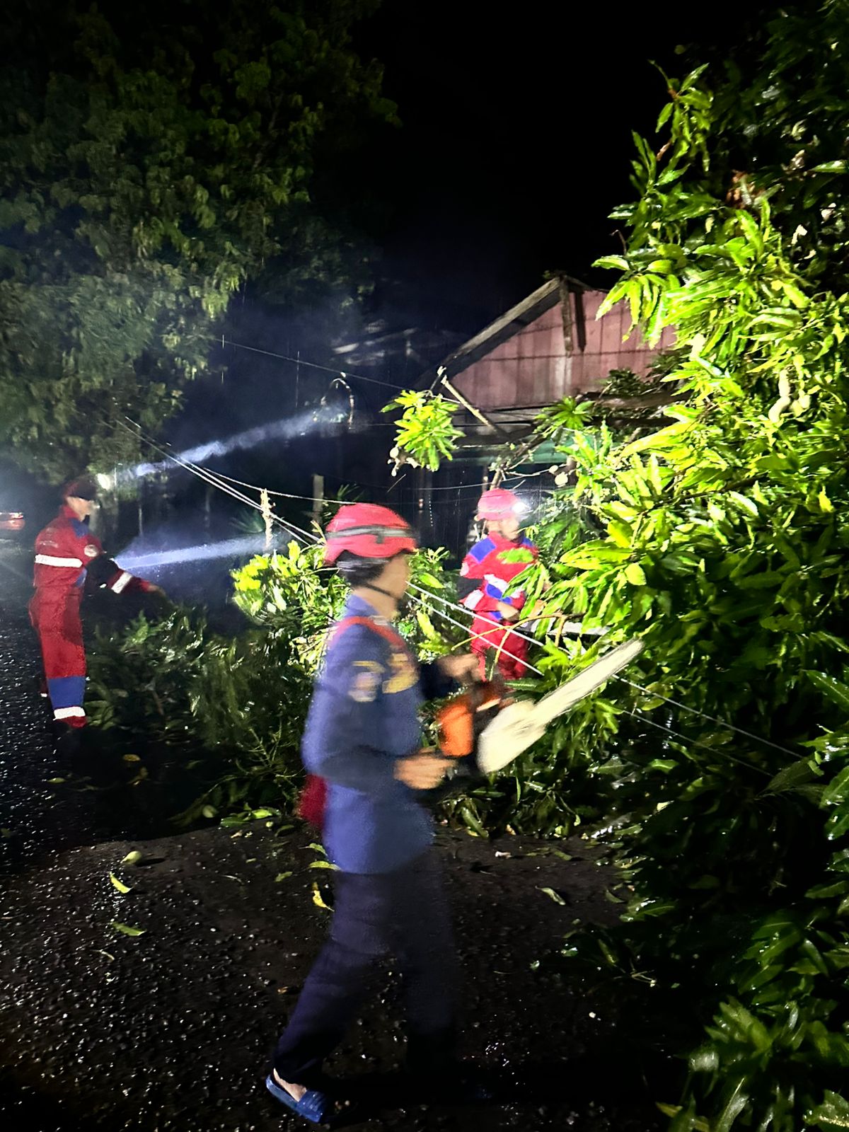 BERITA GAMBAR SIMPATIK
